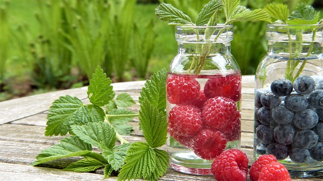 raspberry leaves photo