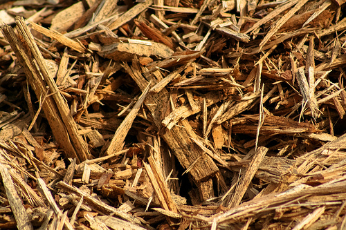 mulch photo