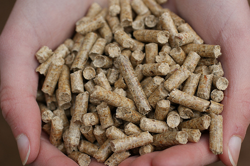 wood pellet photo