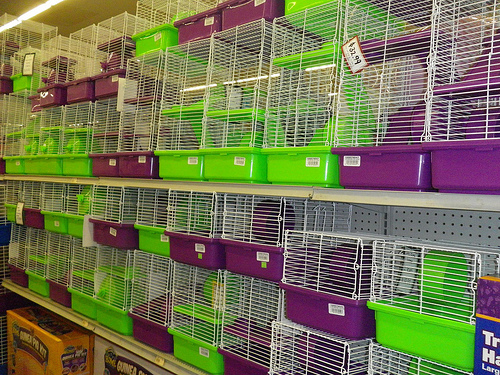hamster cage photo