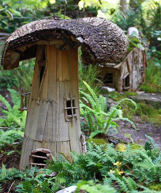 fairy house photo