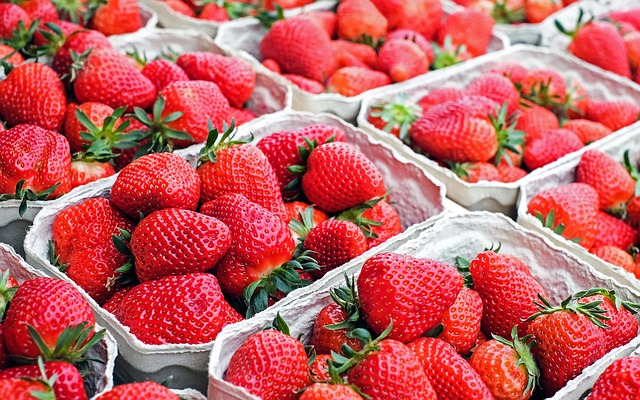 strawberry plant photo