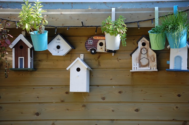 bird house photo