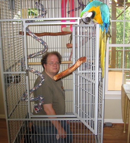 cage photo