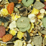 Mixed Hamster Food - Suitable as a base for Duprasi