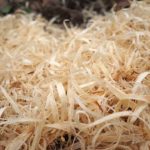 Gerbil Bedding