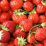Can Gerbils Eat Strawberries?