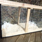 Split Tank Introductions - What Is A Gerbil Split Tank?