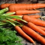 Can Gerbils Eat Carrots?