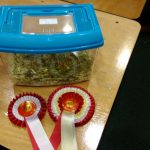 Rodent Fancies - Your First Gerbil Show